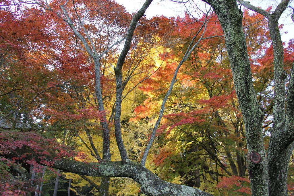 Otsu Nature Garden Akiruno Exterior foto